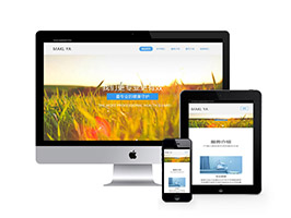 醫療機構類網站織夢模板(自適應移動端)