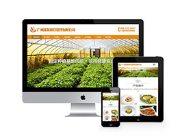 餐飲管理類網站織夢模板(自適應手機端)