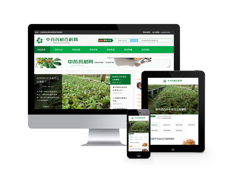 中藥藥材百科資訊類網(wǎng)站織夢模板(自適應(yīng)手機(jī)端)